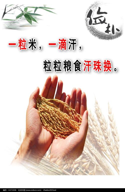 教育部学历电子证书备案表,怎么打印